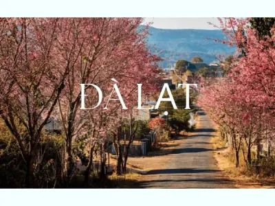 Du lịch Đà Lạt- Cẩm nang khám phá xứ sở sương mù từ A-Z