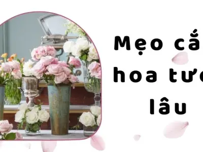 Mẹo cắm hoa tươi lâu cho dịp Tết, bàn tiệc thêm rực rỡ