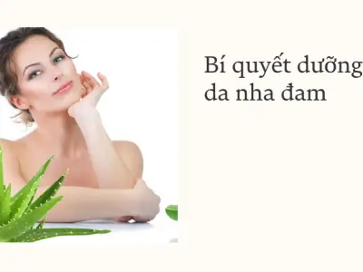 Cách dưỡng da bằng nha đam trắng mịn tôi đã kiểm chứng