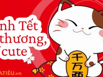 Avatar Tết 2026 Đẹp Nhất: Tuyển Chọn Khung Ảnh Đại Diện Độc Đáo Cho Năm Mới
