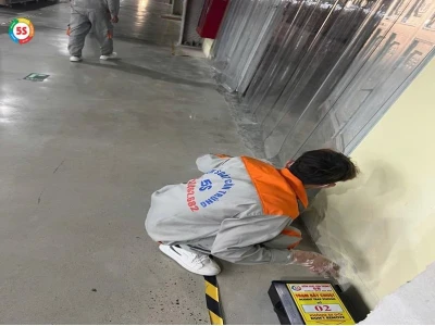 Chuột Vào Nhà Là Điềm Gì? Giải Mã Điềm Báo Tâm Linh và Cách Xử Lý Hiệu Quả