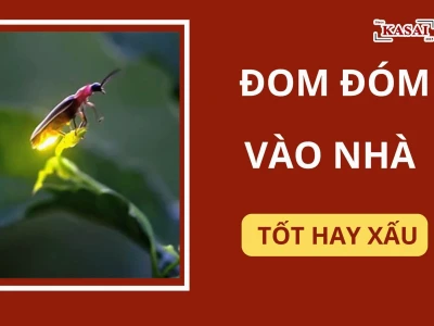 Đom Đóm Bay Vào Nhà Là Điềm Gì? Giải Mã Ý Nghĩa Tâm Linh
