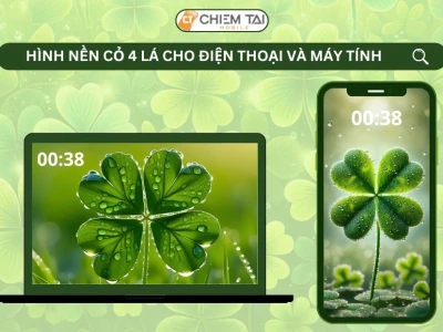 Hình nền cỏ 4 lá may mắn avatar đẹp 2026