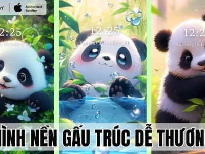 Khám Phá Avatar Gấu Nâu Cute: Tuyển Tập Hình Ảnh Ấm Áp 2026