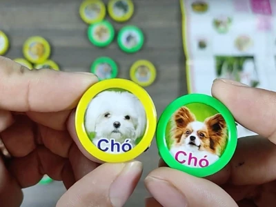 Khám phá luật chơi cờ thú: Hướng dẫn chi tiết từ A đến Z
