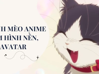 Khám phá thế giới mèo cute anime: Ảnh nền, avatar và meme độc đáo 2026