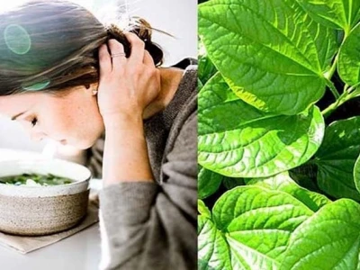 Mẹo Chữa Dị Ứng Thời Tiết Tại Nhà Hiệu Quả và An Toàn