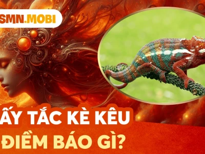 Tắc kè Kêu 9 Tiếng Là Điềm Gì Giải Mã Ý Nghĩa Phong Thủy Năm 2026